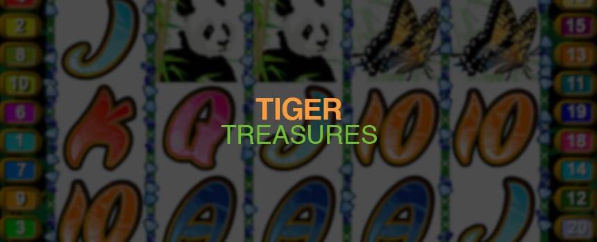 Legend has it that there is a lost jungle that holds the untold riches of a thousand-year-old kingdom. Tucked away deep in the jungle, the treasure is guarded by the mysterious jungle cat  the Bengal Tiger.