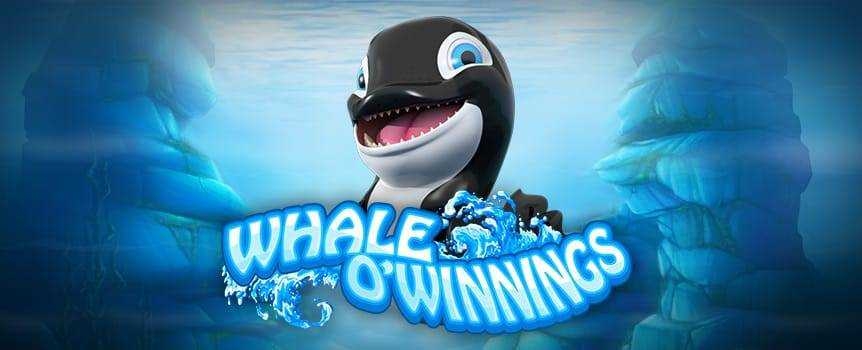 Look out, all you sea-farers. The whale of whales, the one and only Whale O' Winnings, and his fishy friends are diving into all kinds of deep sea shenanigans in this watery 5-reel slot game. Get your aquatic gear ready because you're about to join this deep sea party with your favorite (and adorable) killer whale. You're about to be taken on a tour of Whale O' Winnings' home at the bottom of the ocean, where you will encounter all kinds of sea flora and fauna, including a clam, a sea urchin, a sand dollar and a life preserver. While you're down there, you'll also be introduced to a spirited sea lion and a friendly dolphin, but try not to get too distracted by this sea-worthy social because there's a chance you might find winnings and cash if you keep your eyes open and your goggles polished.