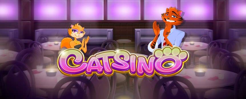 If you're crazy about cats, then this 5-reel, 50-line casino game is perfect for you! Catsino cats promise more than pampering and purring: with a little of their help you could make a lot of money!Spin the reels and enjoy lots of cash, casino chips and furry felines! Between multipliers, free plays and bonus, you'll feel more vivacious than ever to try your luck at Catsino.Ready for a cat adventure?Features:Wildcard symbol The wild symbol replaces any symbol to form a winning combination whenever possible. During regular play, the wildcards offer a 3X multiplier. During the free play feature, the Wildcards feature a 5X multiplier. During the Nine Live Super round, the wild cards offer a 7X multiplier.Free Spins function With 3 FREE SPINS symbols on the reels, 9 free plays are activated, including a 5X multiplier. If during a free play you get 3 FREE SPINS symbols, the Nine Lives Super round is activated, including a 7X multiplier.Additional Information 5 reels, 50 lines. Bet between 1-10 coins per line. The value of the coins are: SC 0.01, SC 0.05, SC 0.10 and SC 0.25. To form a winning combination, the symbols must appear consecutively, from left to right. For more information about the game, please access the HELP option.