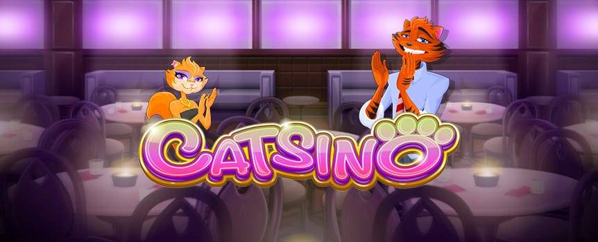 Se você é louco por gatos, então este jogo de slot de 5 cilindros e 50 linhas é perfeito para você! Os gatos do Catsino oferecem mais do que carinho e ronronas: com a ajuda deles você pode ganhar muito dinheiro!